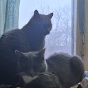 ���� �����, ��������, 48 ��� - ��������� 30 ������ 2025 � ������ ������ ��������