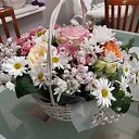 ���� �������, ���������, 63 ���� - ��������� 5 ������� 2023 � ������ ���� ����������