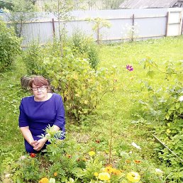 ���������, ����������, 68 ���