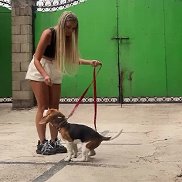 ����, 35 ���, �����������