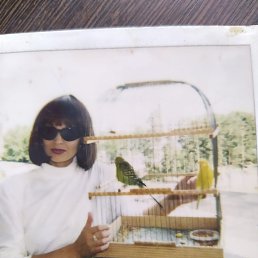 ���� ����., ������������, 58 ��� - ��������� 15 ������� 2024