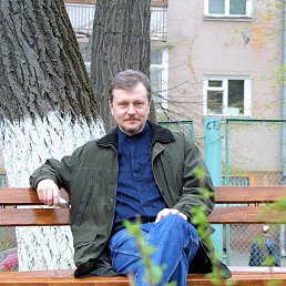 ���� �����, �����, 36 ��� - ��������� 2 ������ 2023