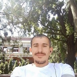 , 43 , -