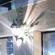 �����, 22 ����, ������