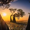 ���� �������, ������� ���� - ��������� 12 ��� 2024 � ������ ������ ��������