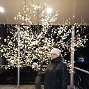 ���� �����, ������, 52 ���� - ��������� 7 ����� 2026 � ������ ���� ����������