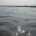 ���� ����, ���� - ��������� 19 ���� 2026 � ������ ���� ����������