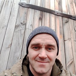  , 41 , 