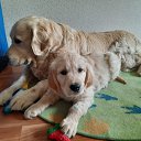 ���� ������, ������������, 60 ��� - ��������� 21 ������� 2023 � ������ ���� ����������