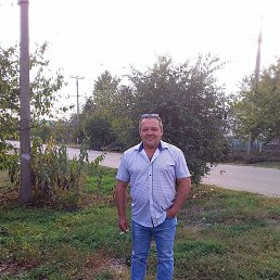  , 49 , --
