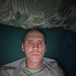 ������, 41 ���, �������