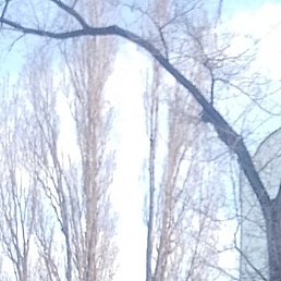 ��������, ����, 61 ���