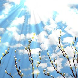 ���� �������, ������, 51 ��� - ��������� 10 �������� 2024