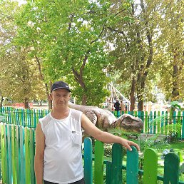 �����, �����������, 49 ���