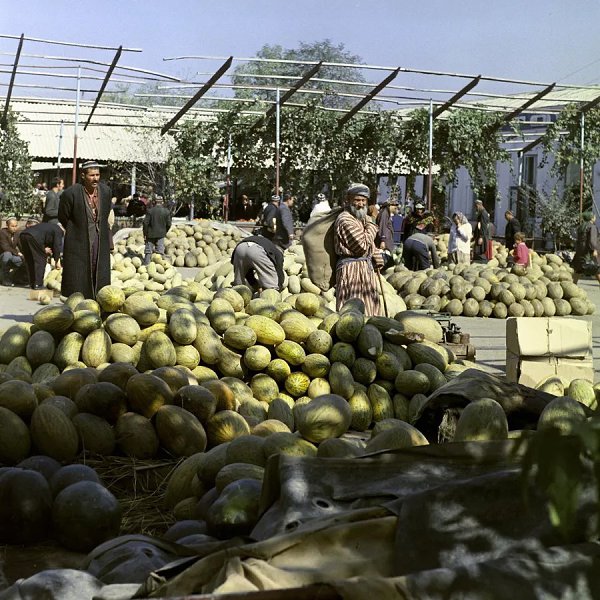Советский Таджикистан в объективе знаменитого фотографа Георгия Зельмы. - 4