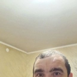 �����, ����, 39 ���