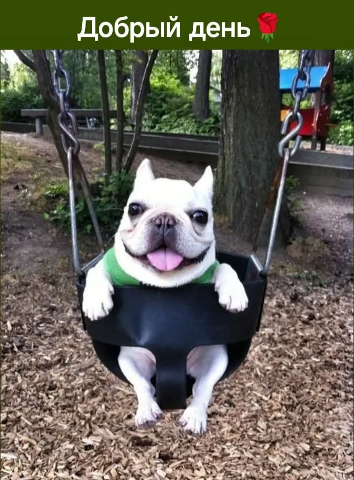 :) ����� ! ))) � ��� � �!