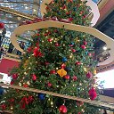���� �����, �����-���������, 50 ��� - ��������� 29 ������ 2025 � ������ ���� ����������