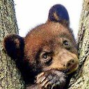 ���� �������, ������ - ��������� 10 ������� 2025 � ������ ���� ����������