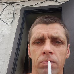 , 41 , 