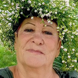 �����, ������, 65 ���