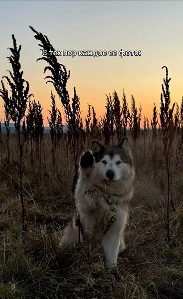 epee oa ea  aa o e pc. oa aa eo aa ao a aep  ... - 2