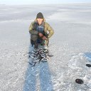 ���� �������, �����-���������, 60 ��� - ��������� 10 ������ 2024