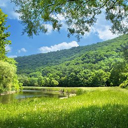 ����, ������, 31 ���