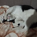 ���� Predrag (�� �������� ������!!!), �������, 60 ��� - ��������� 14 ������ 2025 � ������ ������ ��������