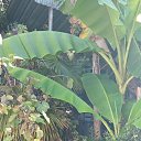  , , 58  -  15  2025     2025