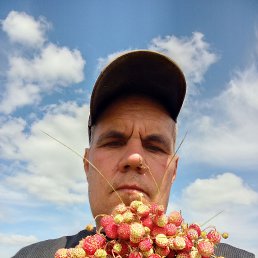 , 40, 