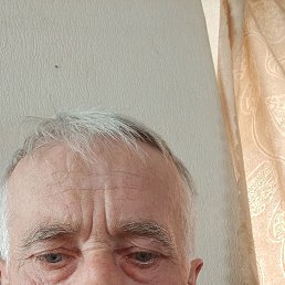 , 61, 