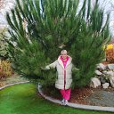 ���� ��������, ������, 66 ��� - ��������� 25 ���� 2025 � ������ ���� ����������