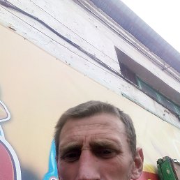 , 33, 