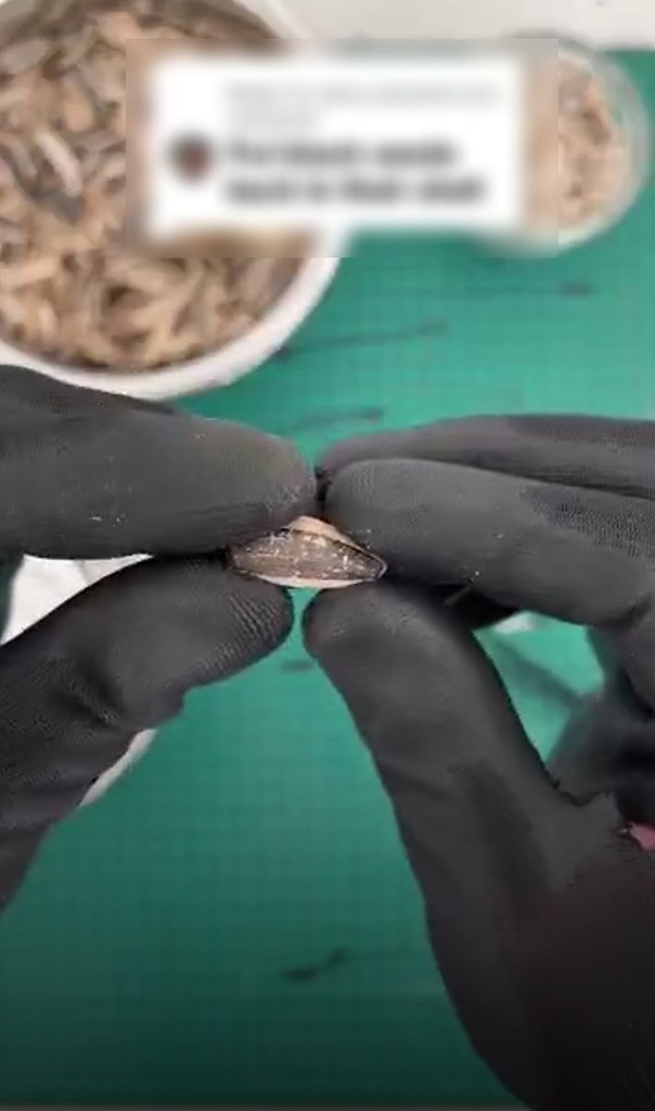 �� ������ ������� �� ����� ����� ����������� ���� �� �����