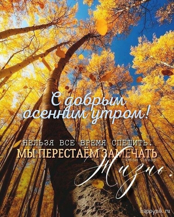 Всё будет хорошо! - 28 октября 2025 в 10:25