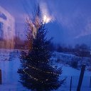 ���� �����, �������, 44 ���� - ��������� 24 ������� 2025 � ������ ���� ����������