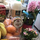 ���� ������, �������, 48 ��� - ��������� 15 ����� 2026