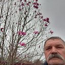 ���� ���������, ������, 68 ��� - ��������� 29 ����� 2024 � ������ ���� ����������