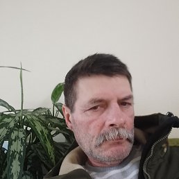 , 55, 