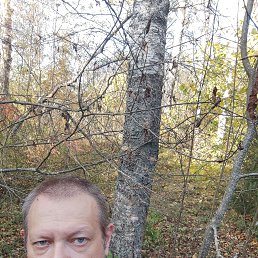 gregorian, 49, 