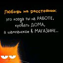 ���� ����, ������, 27 ��� - ��������� 23 ������ 2025 � ������ ���� ����������