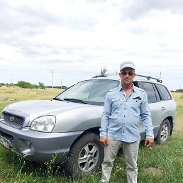 �������, ������, 41 ���