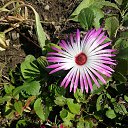 ���� ������, �����-���������, 62 ���� - ��������� 24 �������� 2025 � ������ �������