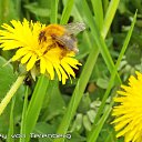 ���� �������, �������, 42 ���� - ��������� 8 ������� 2025 � ������ ���� ����������