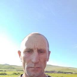, 41, 