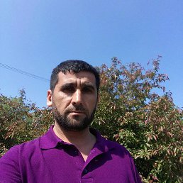   , 43, 