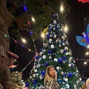 ������, 41 ���, ������