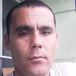 ����, �������, 42 ����