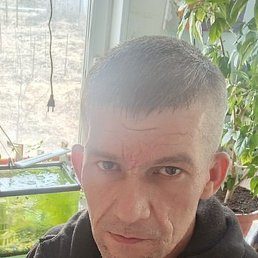 ������, �������, 44 ����